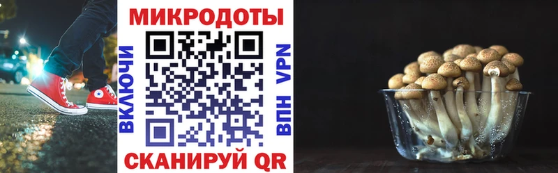 Псилоцибиновые грибы MAGIC MUSHROOMS  наркотики  hydra ТОР  Высоцк 